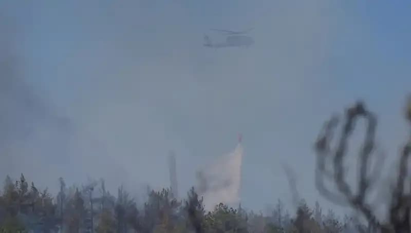 Ankara'da Şiddetli Orman Yangını: Gökyüzü Dumanla Kaplandı!