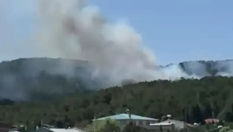 İstanbul Aydos Ormanı'nda Yangın: Doğal Güzellik Kurtarıldı!