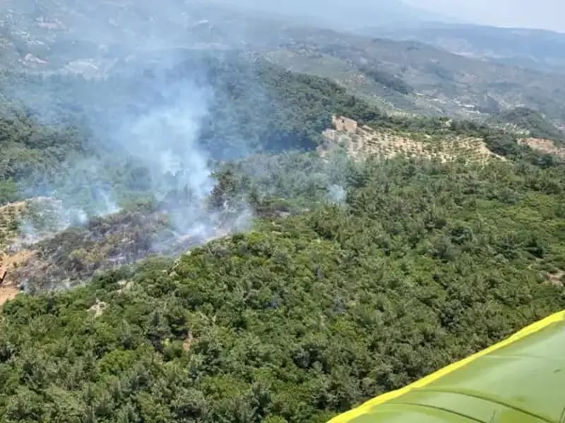 Aydın'da Tahrip Edici Orman Yangını: Doğa ve Ekosistem Tehlikede!
