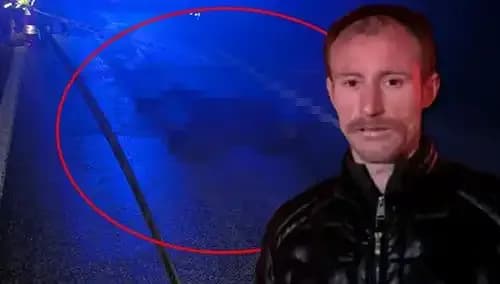 Kamyonetle Ezilen Hayvanın Ölümü, Sürücüyü Derinden Sarstı