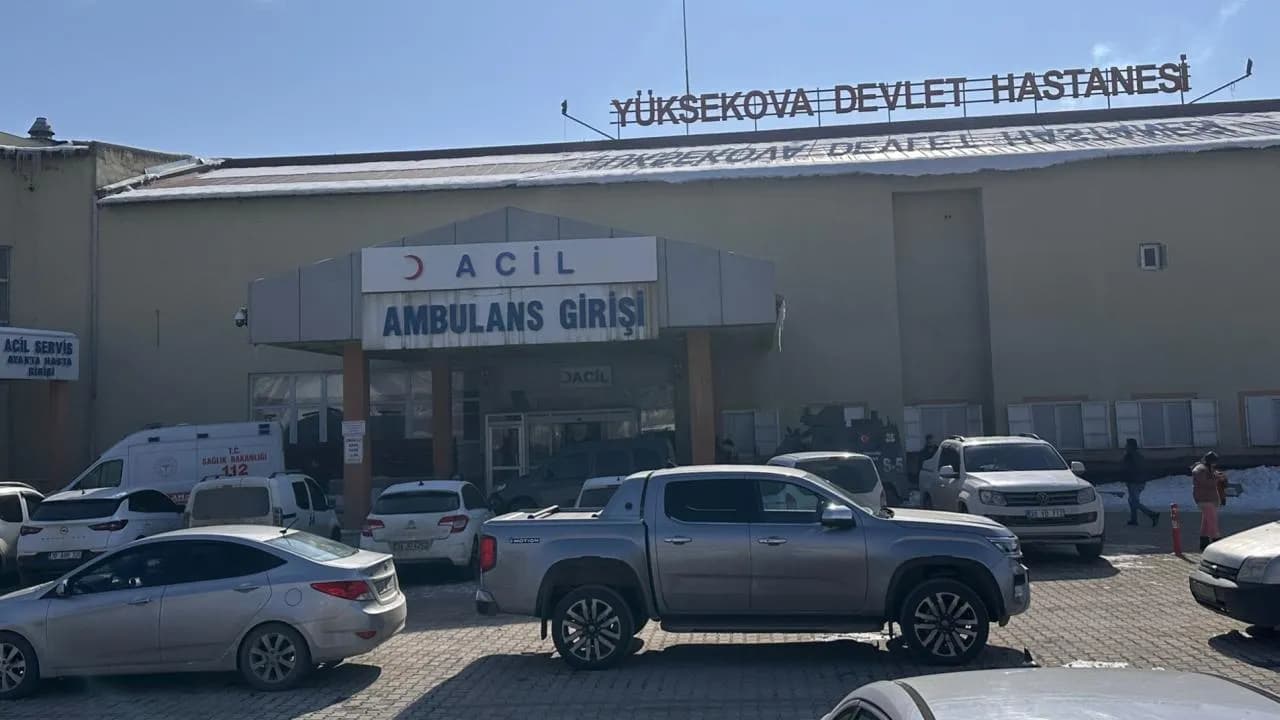 Müfettiş, başıboş köpeklerin saldırısı sonucu ölen çocuk olayını inceleyecek