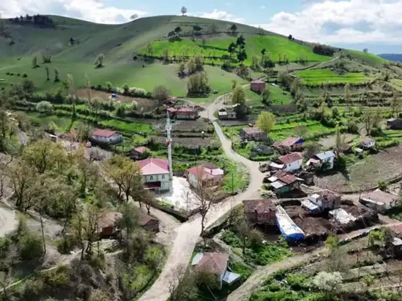 Türkiye’de Bir Mahallede Doğuştan Engelli Bebek Sayısı Alarm Veriyor