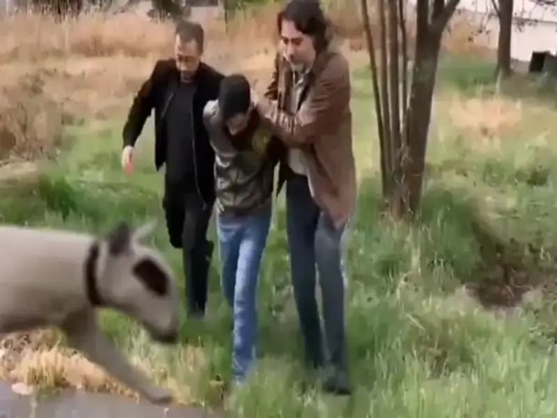 430 Bin Lira Değerindeki Şampiyon Köpeği Çalan Hırsız Yakalındı