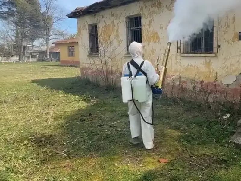 Çiftçiler Kahverengi Kokarca ile Savaşta: Yeni Stratejiler ve Çözüm Önerileri