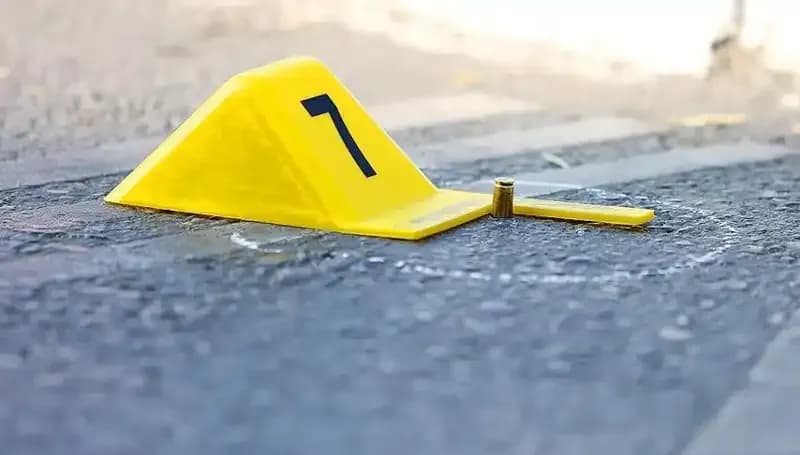 2024 Yılında 394 Kadın Ölümü: Aynı Kaderi Paylaşan İsimler