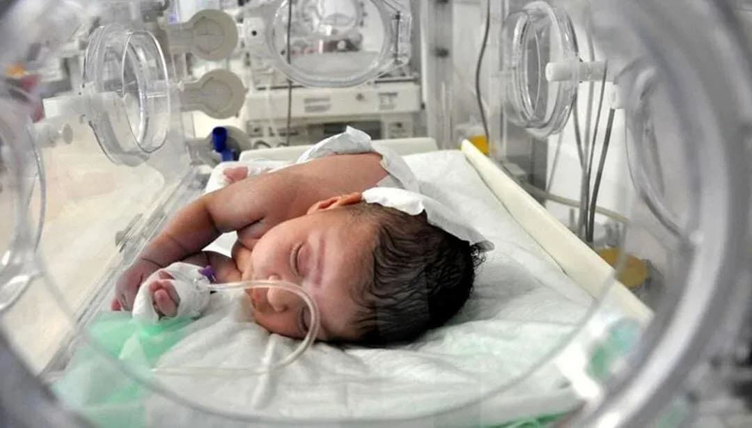 Yenidoğan Çetesi Soruşturması: İstanbul İl Sağlık Müdürlüğü Geçen Yıl Emniyet'e Şikayette Bulunmuş