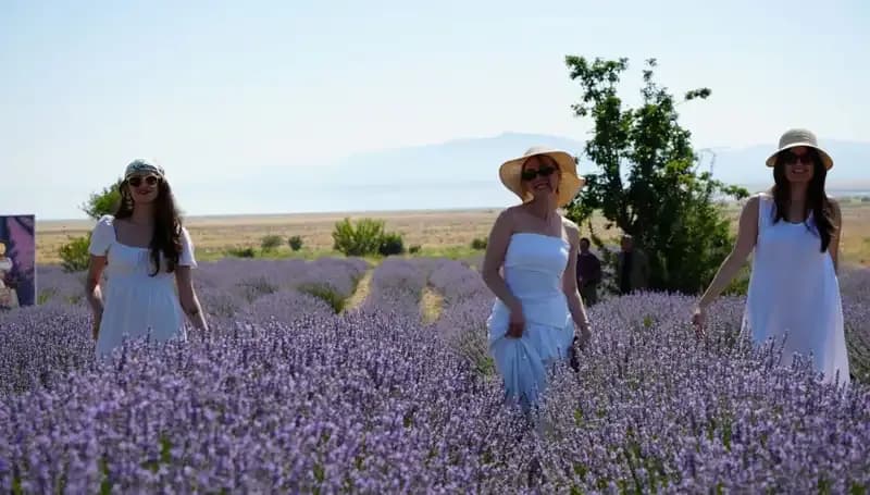 Göl Kenarında Mor Bahçelerde Mis Kokulu Hasat: Eşsiz Bir Deneyim