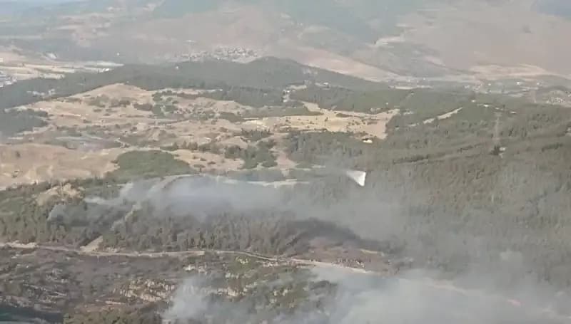 İzmir Orman Yangını: Doğanın Kahramanları  Kontrol Altına Aldı