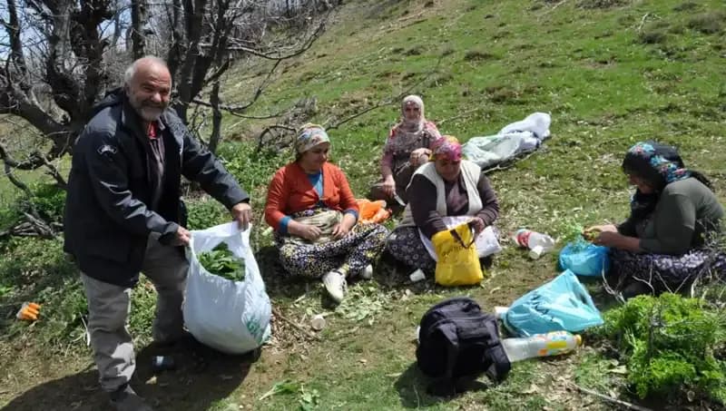 Kilosu 250 Lira: Yüzlerce Ailenin Geçim Kaynağı için 5 Saat Yürüyüş Yapılıyor