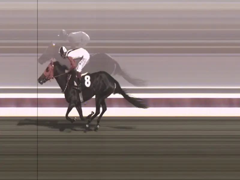 Mersin'de Kavurmada Kullanılan Atın Kimliği Belirlendi