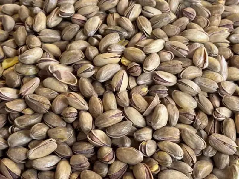 Türkiye'nin Fıstık İhracatı Yılın İlk Çeyreğinde Rekor Kırdı!