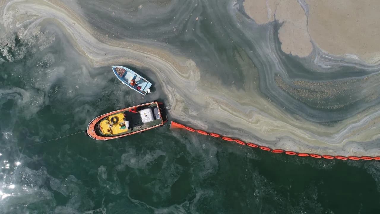 Marmara Denizi'nde Müsilaj Problemi Devam Ediyor