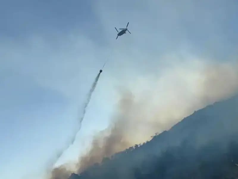 Söke'de Patlak Veren Orman Yangını Kontrol Altına Alındı, Fakat Sonuçları Endişe Veriyor