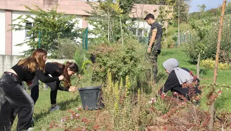 Düzce’nin Yıldızı Parlıyor: Hayalden Gerçeğe Dönüşen Başarı Hikayesi