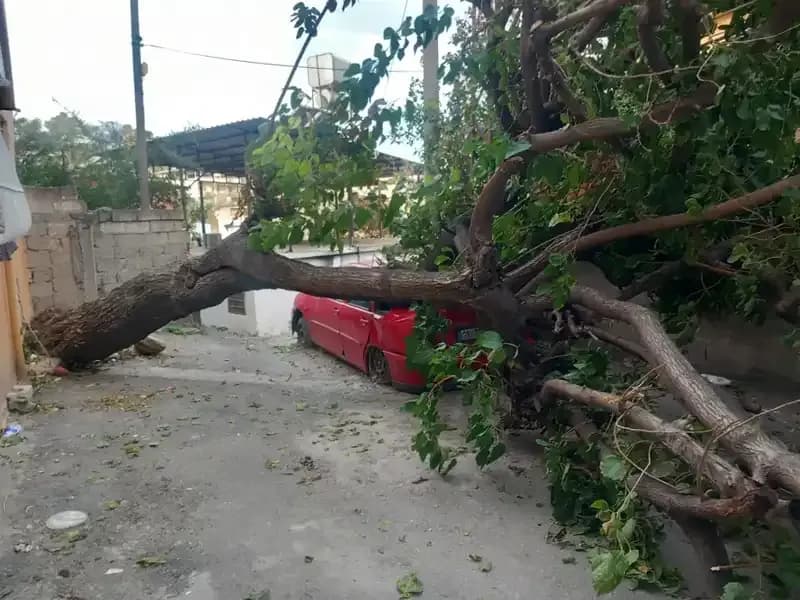 Hatay'da Şiddetli Fırtına: Ağaçlar Devrildi, Çatılar Uçtu