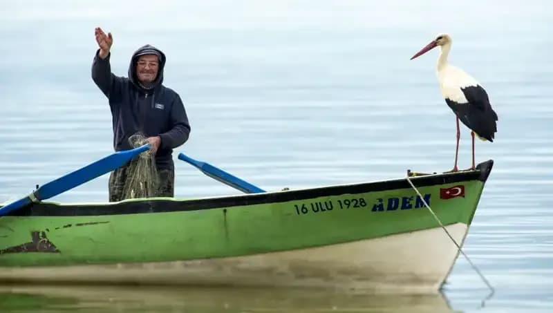 Yaren Leylek Geldi mi? Ülke Genelinde Dikkat Çeken Gelişmeler!