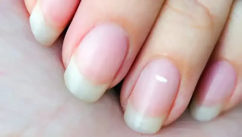 Tırnaklarınız, Hayat Süreniz Hakkında Ne Anlatıyor? Uzmanlar Açıklıyor!