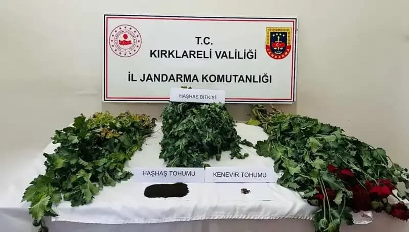 Kırklareli'nde Uyuşturucu Operasyonu: 8 Gözaltı ve Operasyonun Detayları