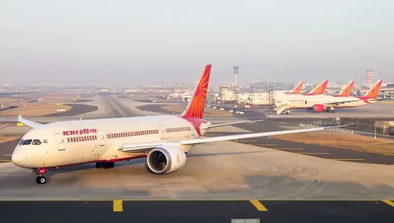 Valizden Çıkanlar Şaşırttı: 48 Zehirli Yılan ve 5 Kaplumbağa