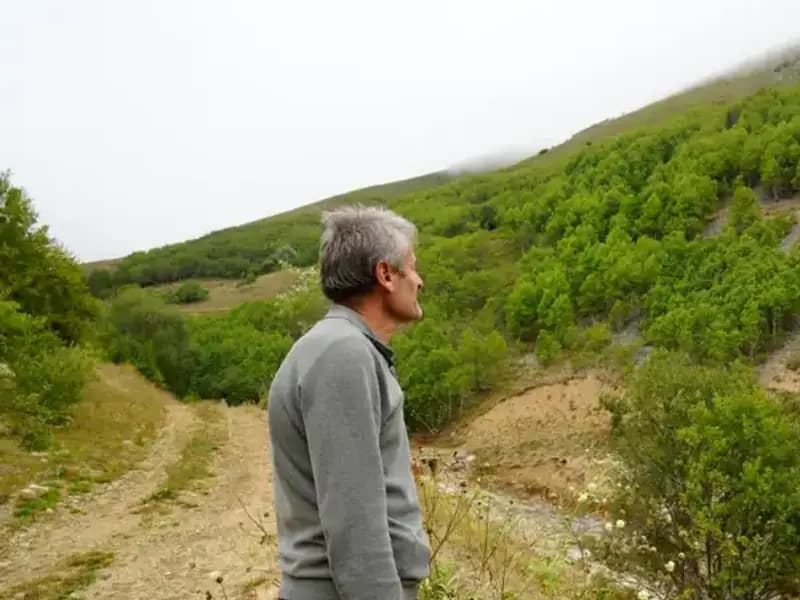 Gümüşhane'de Emekli İmamın Ağaçlandırma Projesi, Köyünü Yeşillendiriyor