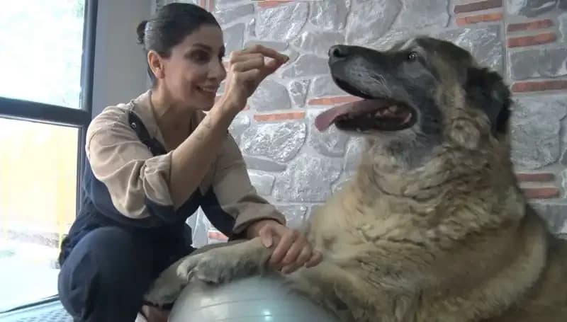 55 Kilogram Obez Duman'ın Zayıflama Süreci: Spor ve Pilates ile Yeniden Hayata Dönüş