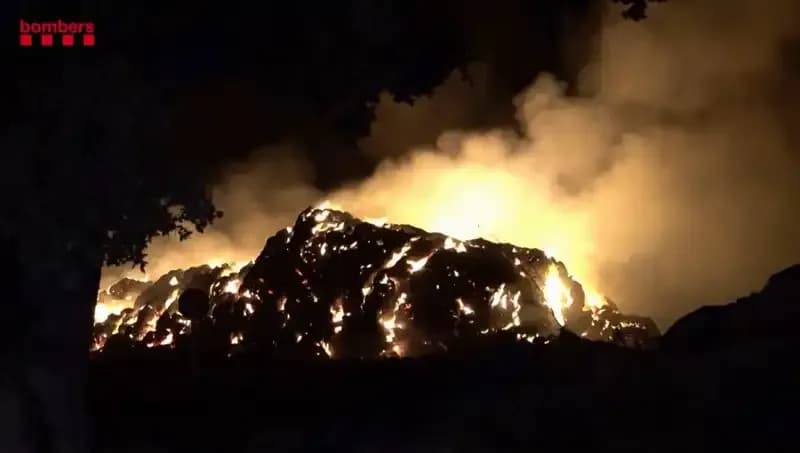 İspanya’yı Kasıp Kavuran Orman Yangınları: Son Gelişmeler ve Nedenleri