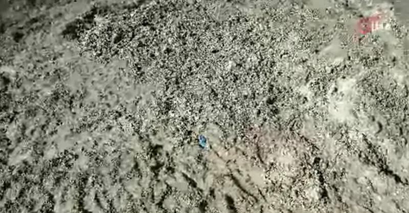 İstanbul'da Kayıp Çinli İş Adamı: Korkunç Cinayet ve Bulunduğu Yer