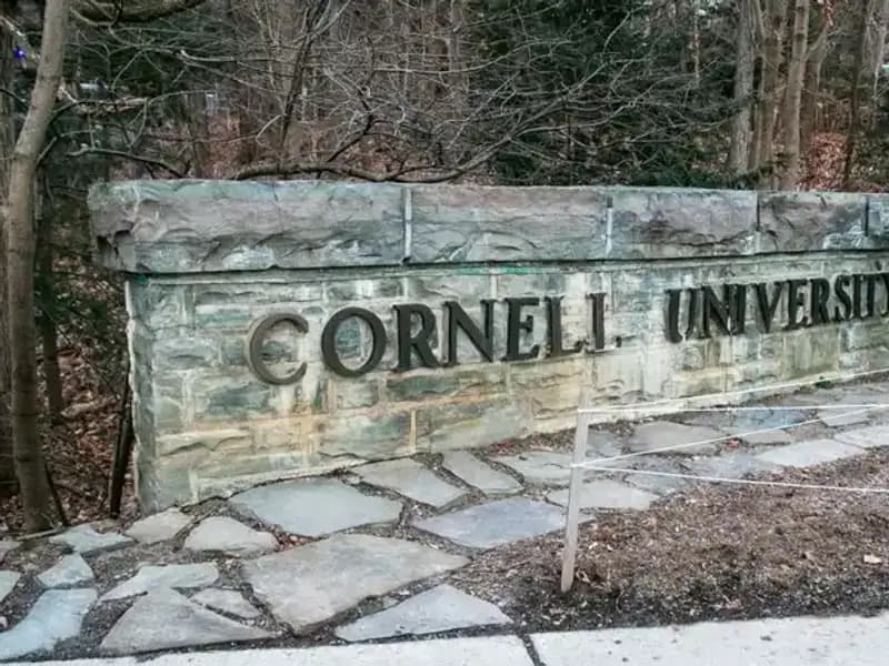 Trump Yönetiminden Şok Karar: İki Üniversitenin Federal Fonları Donduruldu