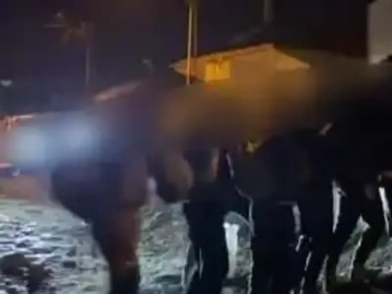 Van'da Yapılan Büyük Göçmen Kaçakçılığı Operasyonunda 14 Kişi Gözaltına Alındı