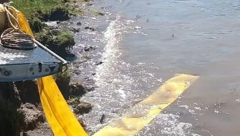 Yüzlerce Yavru Balık Göletlere Bırakıldı, Doğa Canlanıyor!