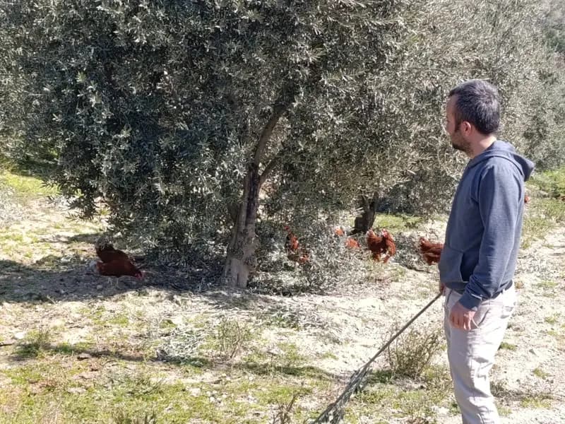 Manisa'da Artan Kiralarla Mücadele: Levent Sertkaya'nın Hikayesi