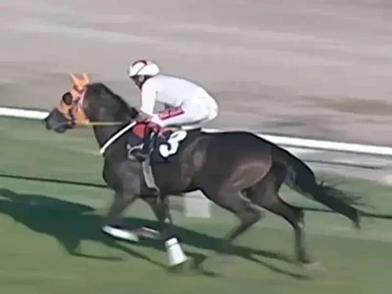 Mersin'deki Kavurma Olayı İngiliz Basınında Gündem Oldu