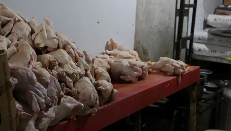 Mide Bulandıran Görüntüler: Döner İmalathanesindeki Skandal Ortaya Çıktı