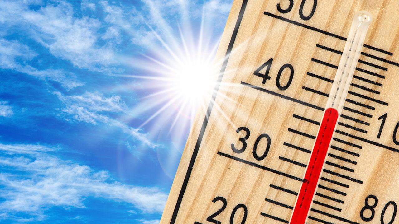 Dünya 2024'te Rekor Sıcaklık Yılını Yaşadı