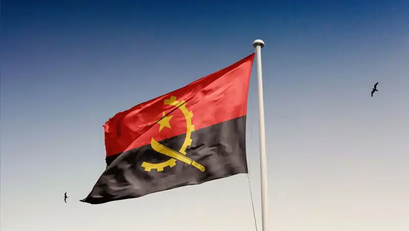 Angola'ya Giremeyen Siyasilerin Hükümeti Gözaltına Alınan 20 Kişi ile Sarsıldı