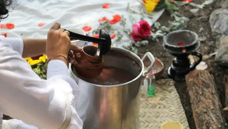 Ayahuasca: Gizemli Şifa ve Yasadışı Sırları ile Tanışın