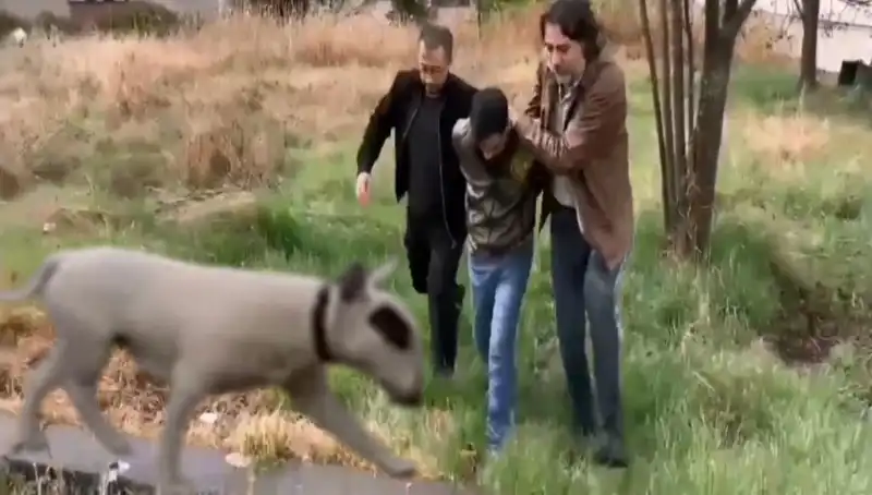 430 Bin Lira Değerindeki Şampiyon Köpeği Çalan Hırsız Yakalındı