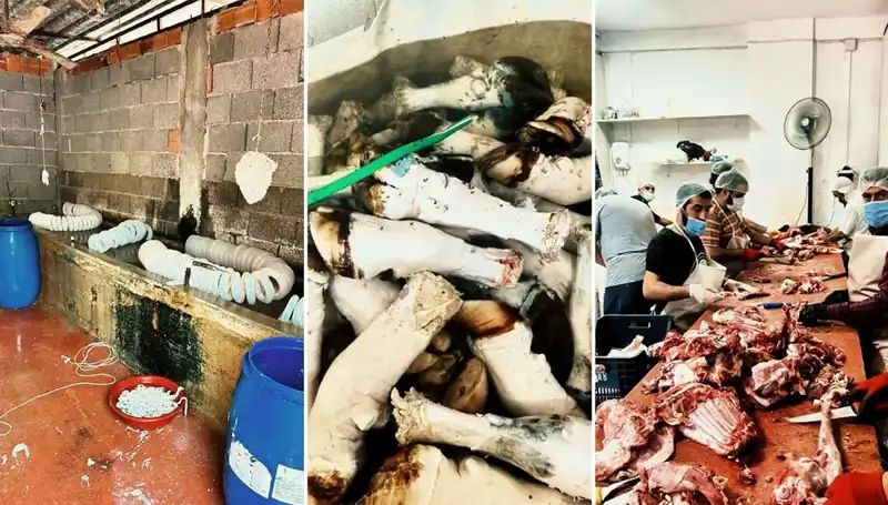 Adana'da Hijyen Skandalı: Yüzlerce Kilo Kaçak Paça Ele Geçirildi