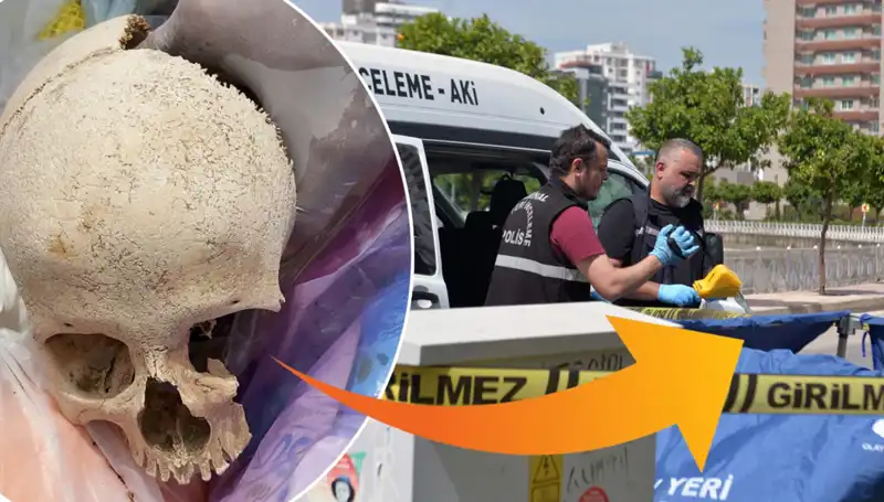 Çöp Alanında Bulunan Kafatasının Gizemi Çözüldü: Uzman Doktor Gözaltında