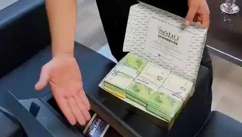 Manavgat’ta Şok Operasyon: Baklava Kutusunda Saklanan Avrolar Ele Geçirildi!