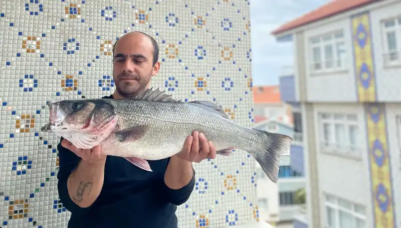 7,5 Kilo Ağırlığında Dev Levrek, Balıkçıları Heyecanlandırdı!