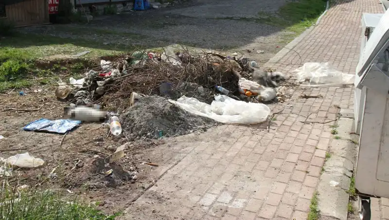 Antalya'da Cani Biri Tarafından 10 Kedi Vahşice Öldürüldü