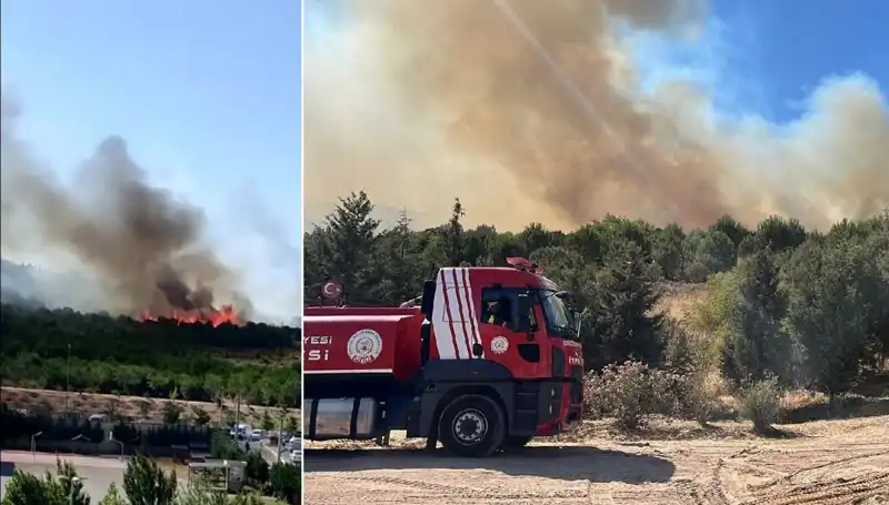 Gebze'de Orman Yangını! Alevler Tehdidi Büyütüyor