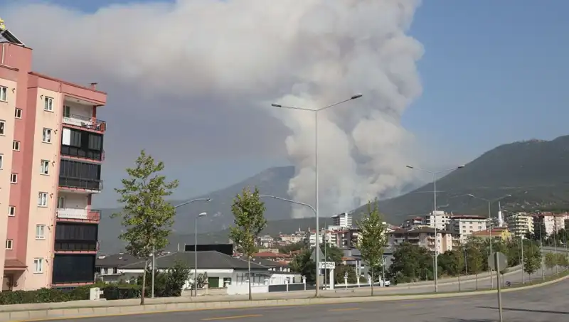 Denizli'de Şok Eden Orman Yangını: Bir Kişi Gözaltında