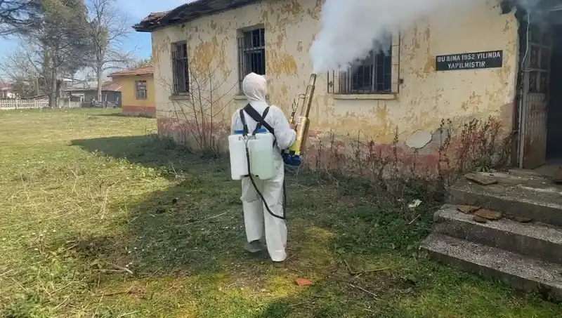 Çiftçiler Kahverengi Kokarca ile Savaşta: Yeni Stratejiler ve Çözüm Önerileri