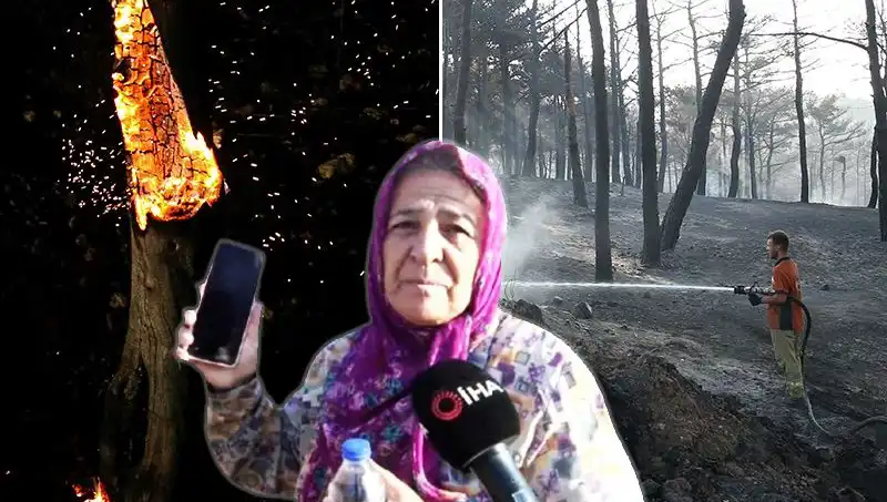 Çanakkale Orman Yangınları Sonuçlandı: Kontrol Altına Alındı, Kayıplar Gün Yüzüne Çıkıyor