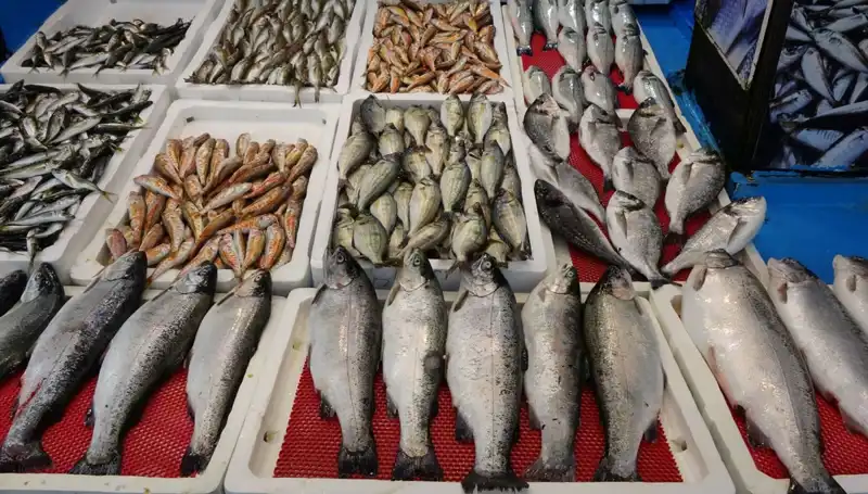 Yasakların Patinaj Yaptığı Şehrimizde Tezgahlar Onlara Kaldı