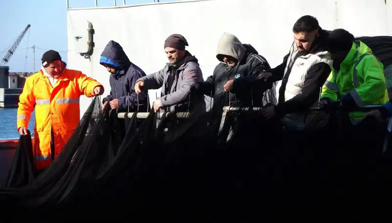 Hamsi Balığı Stoku Tükendi: Trawlerler Sezonu Erken Kapatmak Zorunda Kaldı